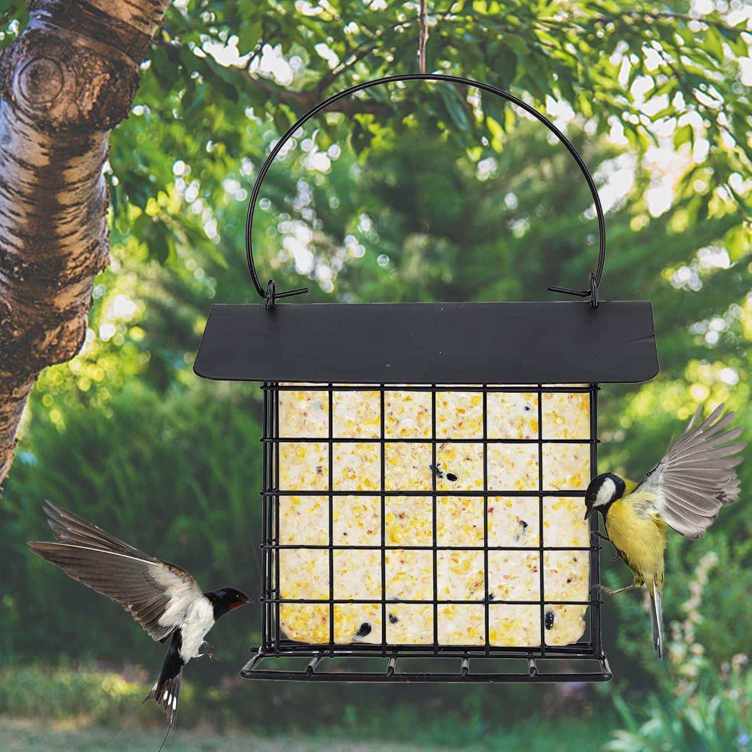 imagewinemana Suet Feeder for Outside Hanging Metal Suet Cake Holder Squirrel Proof Weatherproof Bird Feeders for Wild Birds Woodpecker Single Suet Cage for Outdoor GardenOriginal