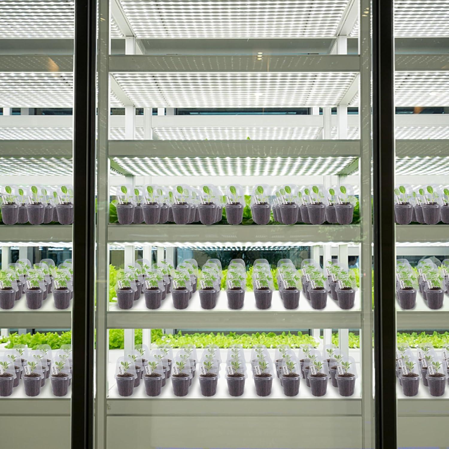 imagewinemana 36 Set Nursery Pots with Humidity Dome Clear Nursery Pots for Plants Seed Starting Pots with Drainage Holes ampamp Plant Labels for Vegetables Flowers Garden PlantsClear