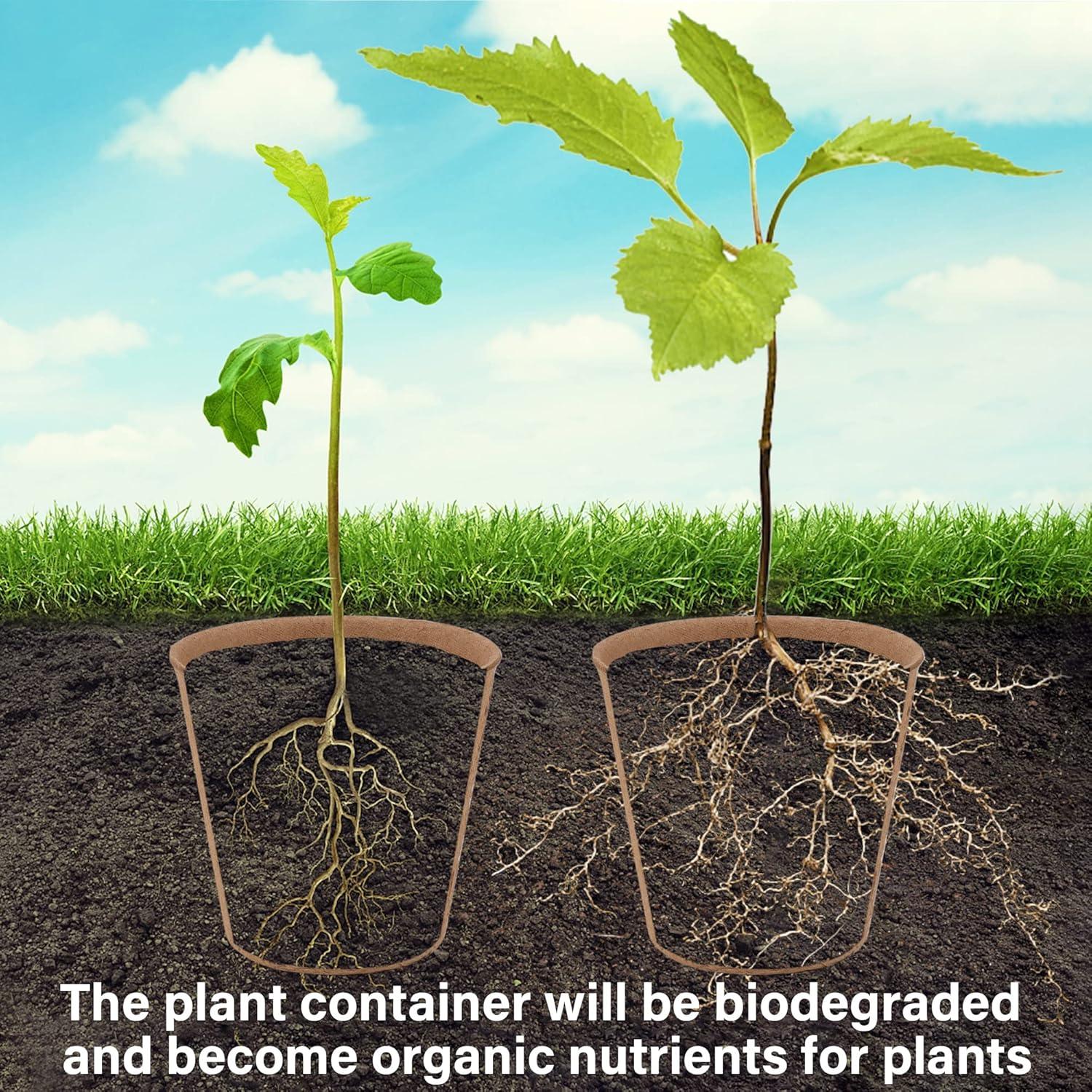 imagewinemana 36 Set Nursery Pots with Humidity Dome Clear Nursery Pots for Plants Seed Starting Pots with Drainage Holes ampamp Plant Labels for Vegetables Flowers Garden PlantsRound