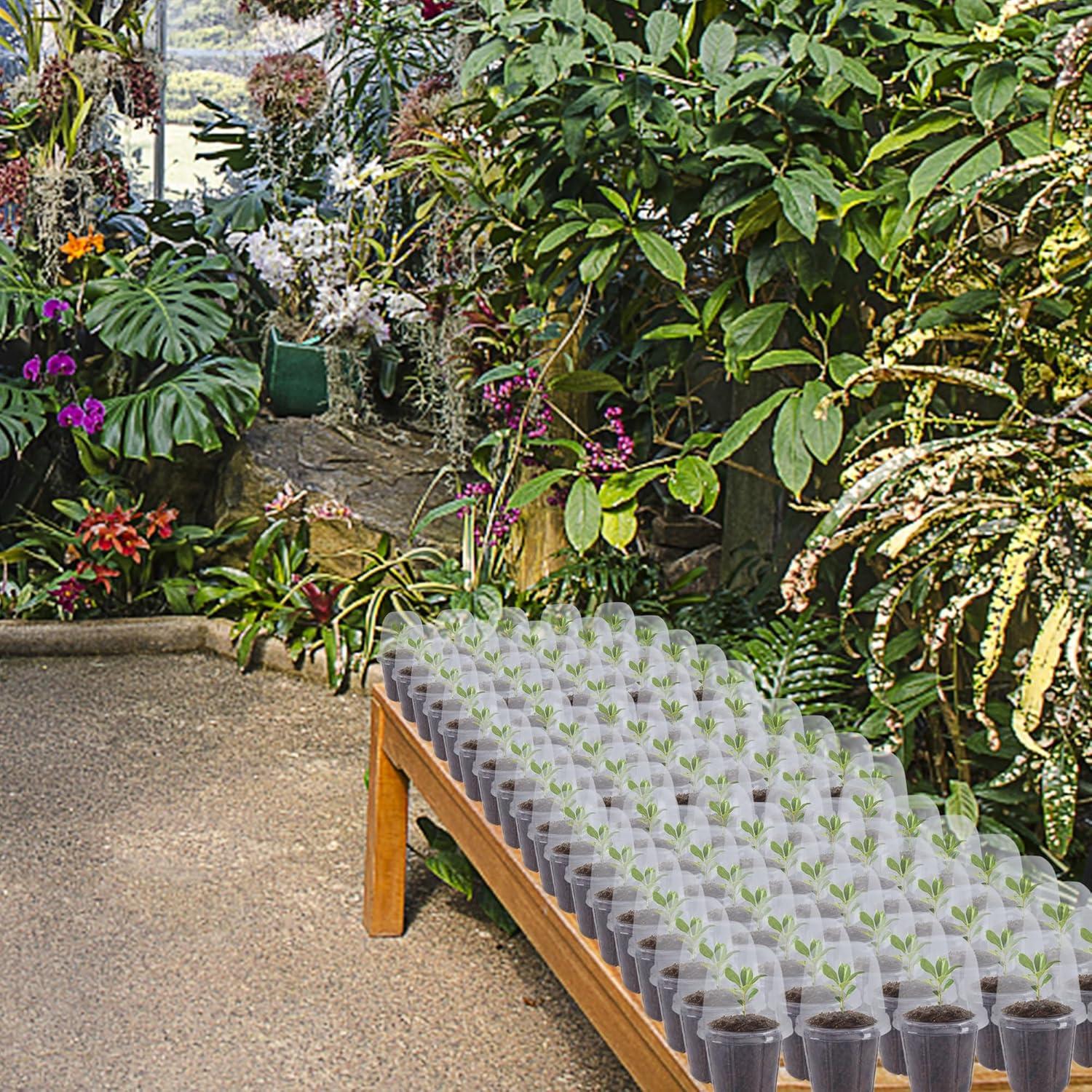 imagewinemana 36 Set Nursery Pots with Humidity Dome Clear Nursery Pots for Plants Seed Starting Pots with Drainage Holes ampamp Plant Labels for Vegetables Flowers Garden PlantsClear