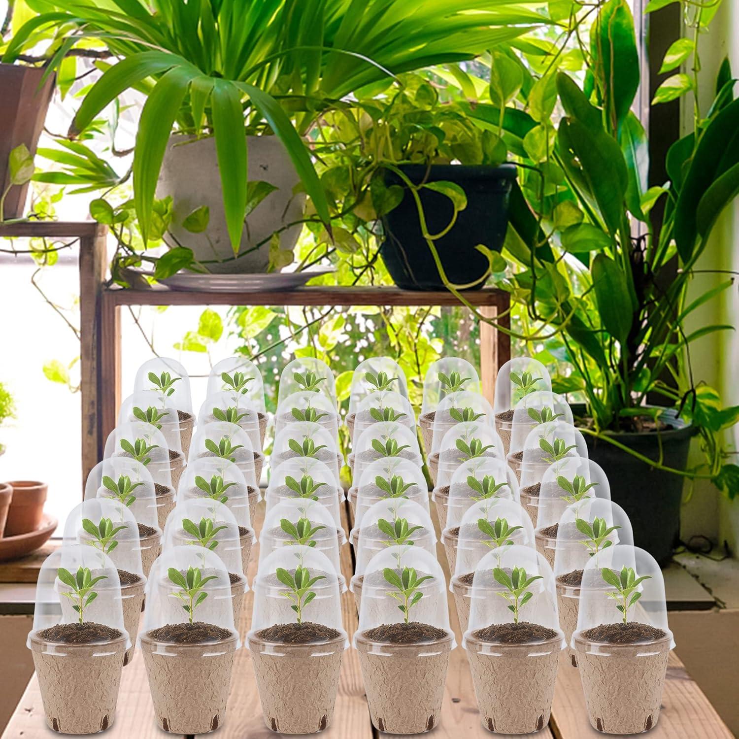 imagewinemana 36 Set Nursery Pots with Humidity Dome Clear Nursery Pots for Plants Seed Starting Pots with Drainage Holes ampamp Plant Labels for Vegetables Flowers Garden PlantsRound