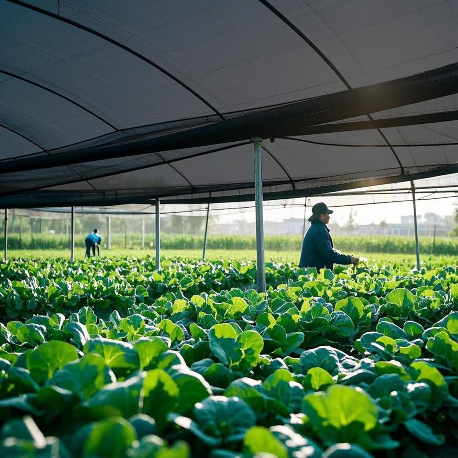 image:imagewinemana Black Shade Cloth 40 5x8 FT Mesh Tarp Garden Shade for Greenhouse Patio Vegetables Plants Cover and Chicken Coops Sun Shade Net for Outdoor Protection with Reinforced Grommets66 FT x 20 FT