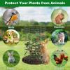 winemana 12 Set Garden Plant Protector Cage, 24×12 in Metal Wire Protectors for Plants, Protection Cages with Stakes & Nylon Ties, Animals Barrier to Keep Rabbit & Chicken Away from Flower Vegetables(Silver)