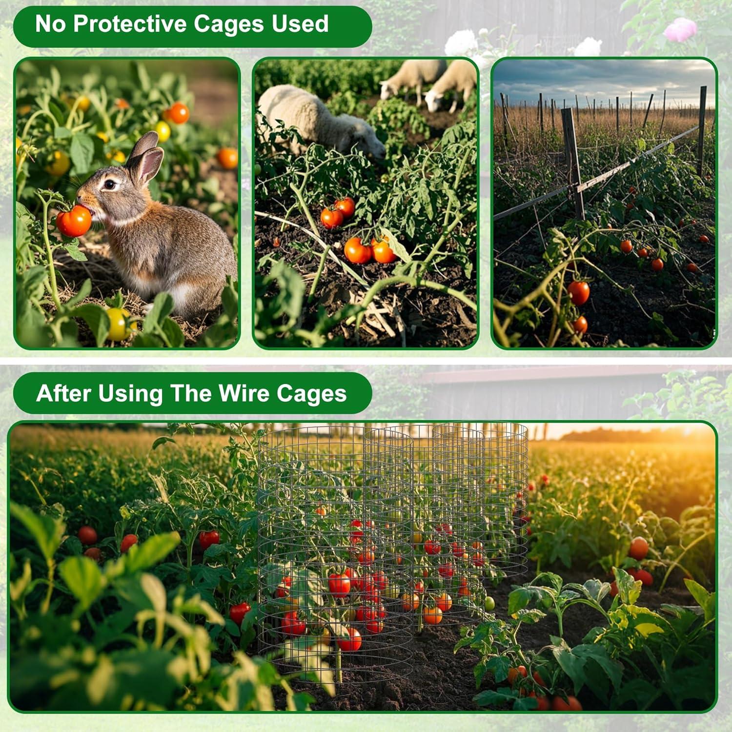 image:imagewinemana 12 Set Garden Plant Protector Cage 24x12 in Metal Wire Protectors for Plants Protection Cages with Stakes amp Nylon Ties Animals Barrier to Keep Rabbit amp Chicken Away from Flower VegetablesBlack