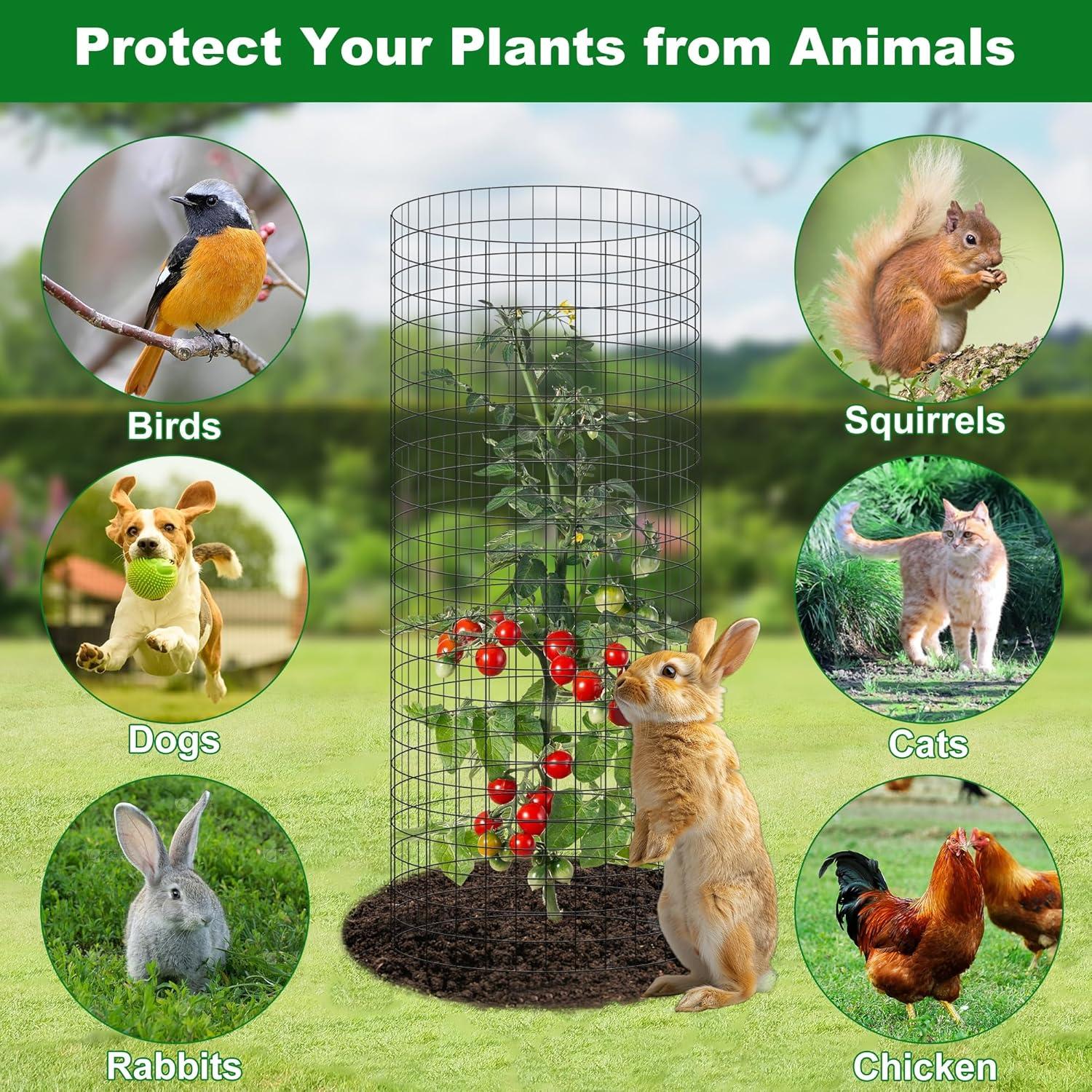 image:imagewinemana 12 Set Garden Plant Protector Cage 24x12 in Metal Wire Protectors for Plants Protection Cages with Stakes amp Nylon Ties Animals Barrier to Keep Rabbit amp Chicken Away from Flower VegetablesBlack