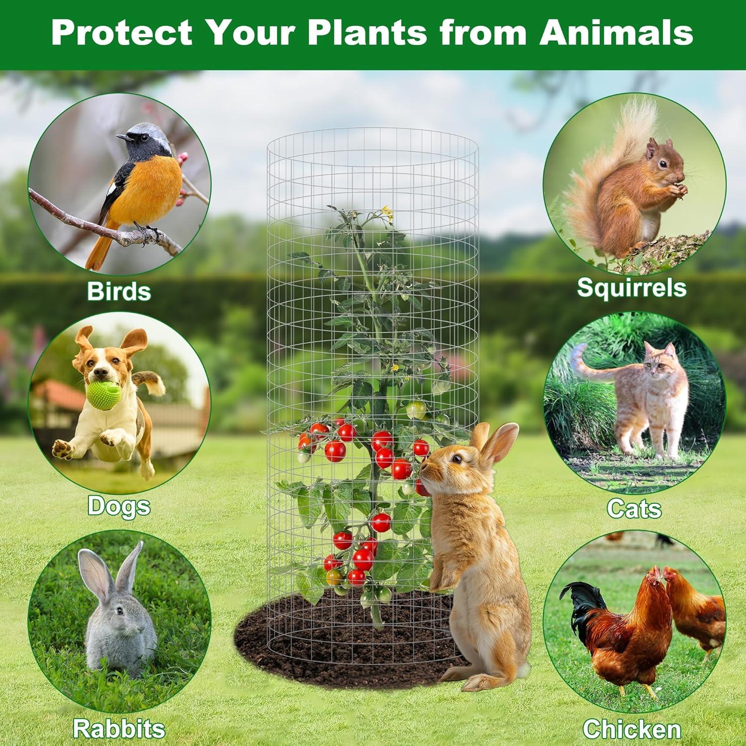 image:imagewinemana 12 Set Garden Plant Protector Cage 24x12 in Metal Wire Protectors for Plants Protection Cages with Stakes amp Nylon Ties Animals Barrier to Keep Rabbit amp Chicken Away from Flower VegetablesSilver